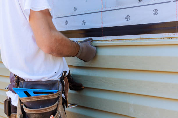Affordable Siding Repair solutions in Paris, IL